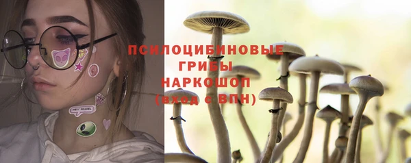 прущие грибы Богородск